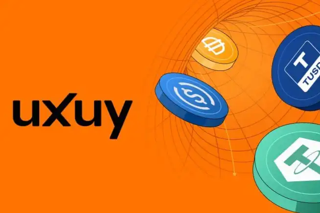 UXUY 创始人 Kevin：稳定币才是比特币生态最大的变量