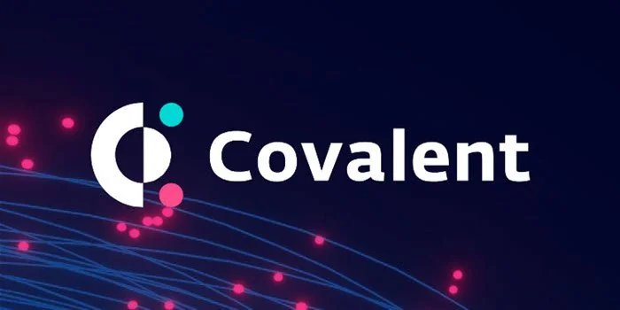 对话Covalent CEO：用去中心化数据索引专长赋能AI和DA